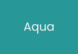 Pool Cover Color Options 14 Aqua